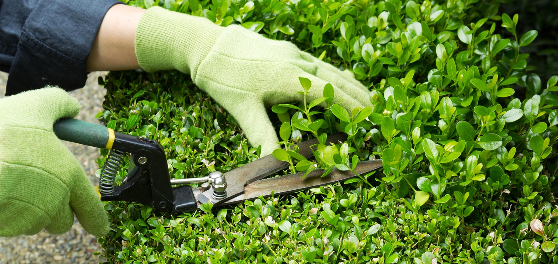 Landscaping
